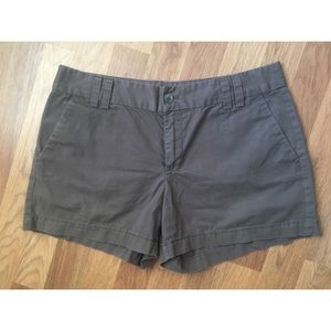 LOFT Basic Brown Shorts